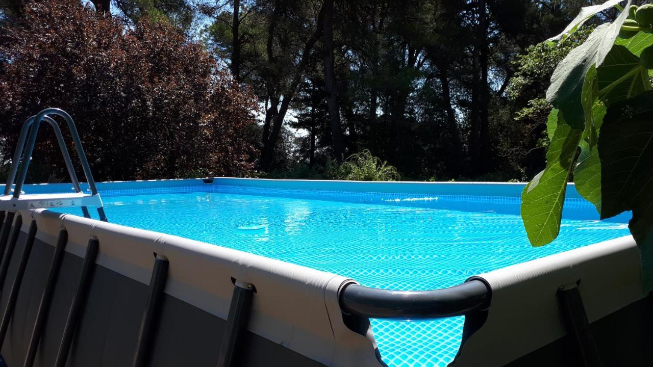Domaine De La Matte Bed and Breakfast Conques-sur-Orbiel Buitenkant foto
